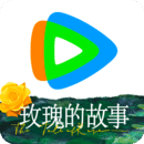 女士连裤袜厂家批发
