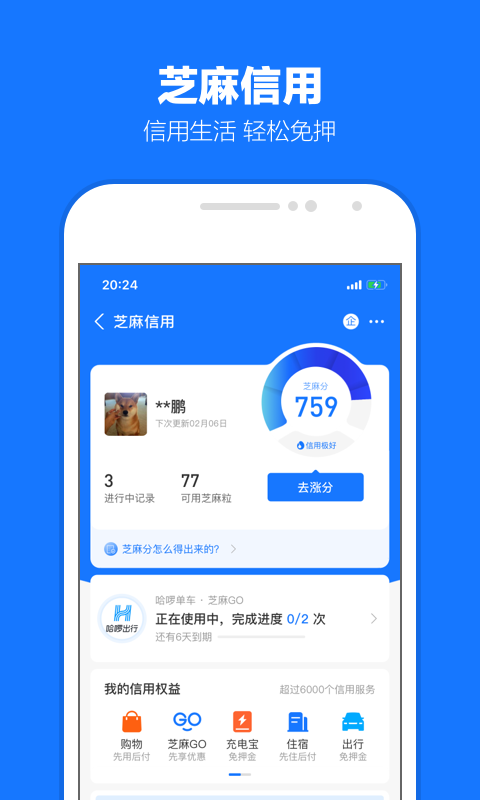有偿购松紫大大的视频截图